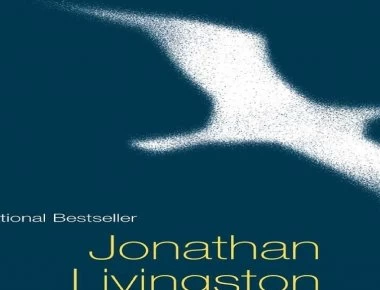 Π.Καμμένος: Νέο tweet με θέμα τον… «γλάρο Ιωνάθαν»